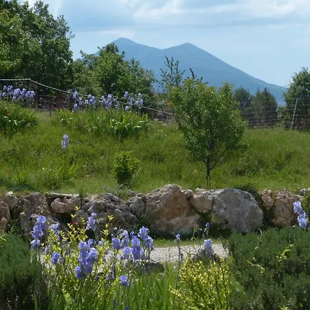 Bed & Breakfast La Ferme Du Petit Segries 3*